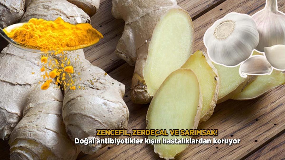 Zencefil, zerdeçal ve sarımsak! Doğal antibiyotikler kışın hastalıklardan koruyor